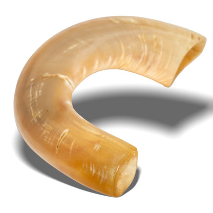 Shofar de Carnero 15–16.5 in (38–42 cm)