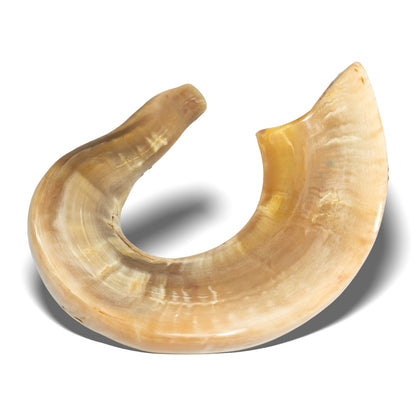 Shofar de Carnero Grande 23.6–25.6 in (60–65 cm)