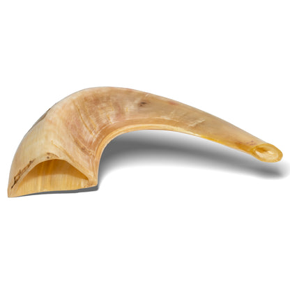 Ram Shofar — 28 to 33 cm