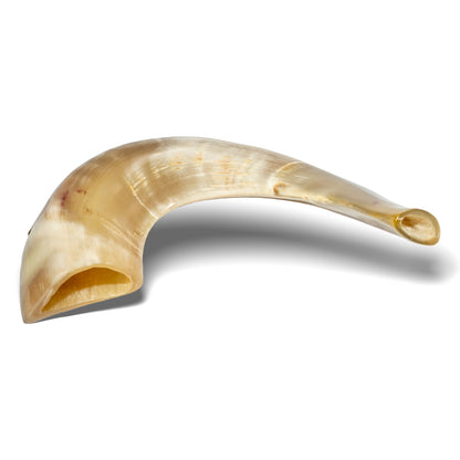 Ram Shofar — 28 to 33 cm