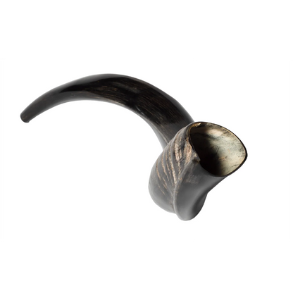 Shofar de Antílope/Yemenita 23.6–27.2 in (60–69 cm)