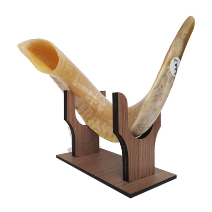Shofar de Carneiro 19.3–21.7 in (49–55 cm)