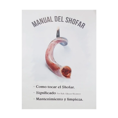 Shofar de Carneiro 19.3–21.7 in (49–55 cm)