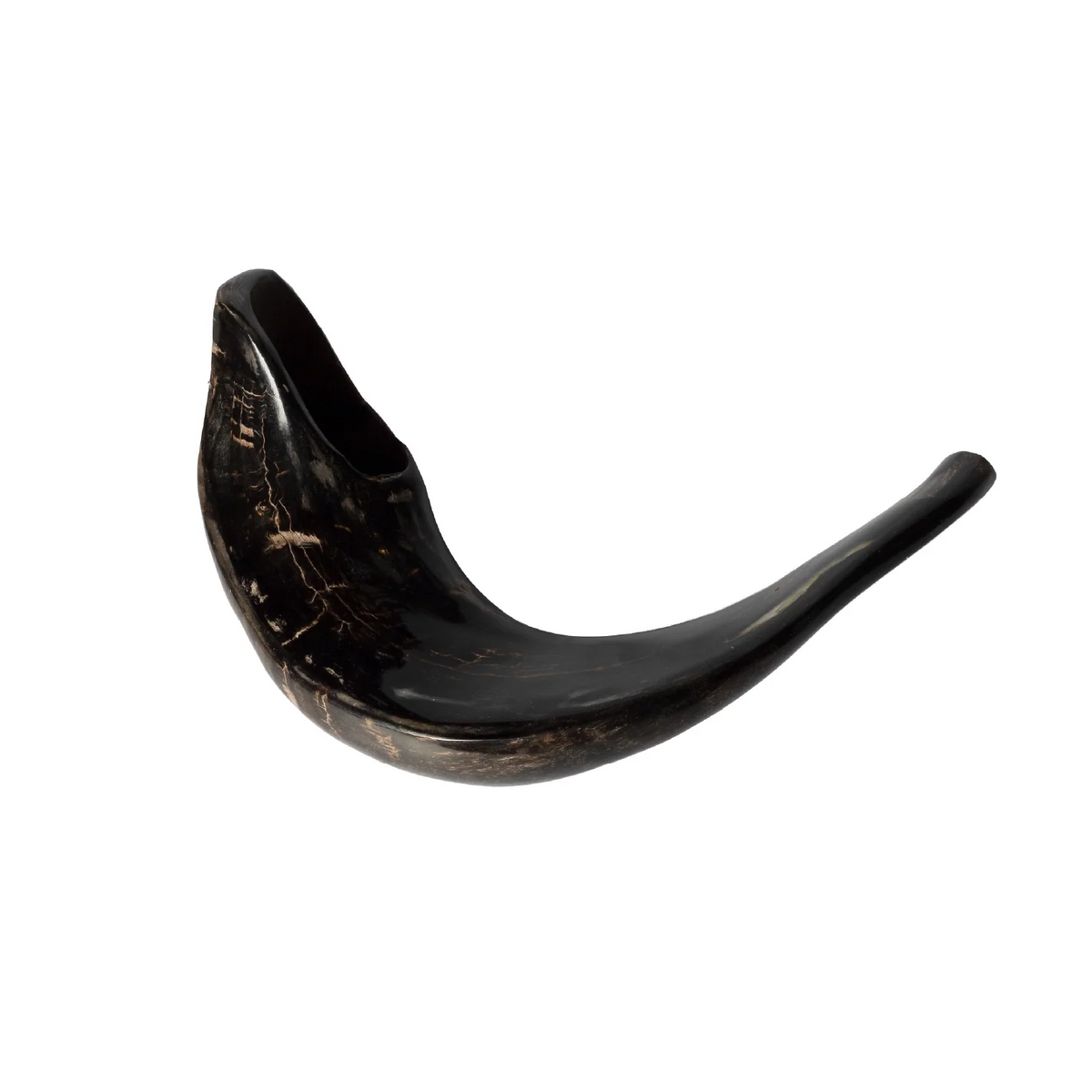 Ram Shofar — 28 to 33 cm
