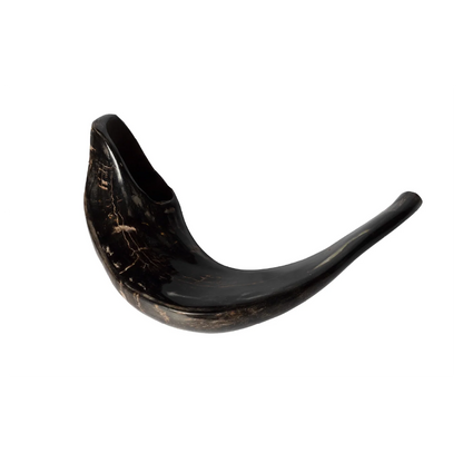Ram Shofar — 28 to 33 cm
