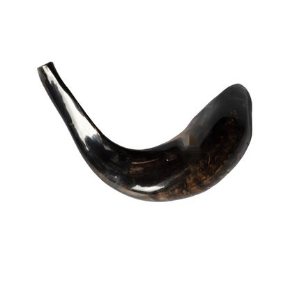 Ram Shofar — 28 to 33 cm