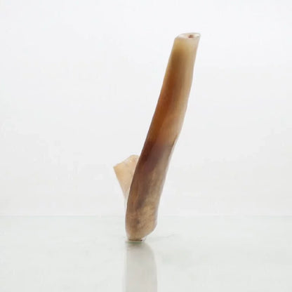 Ram Shofar — 28 to 33 cm