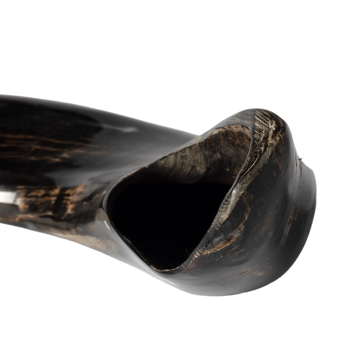 Ram Shofar — 28 to 33 cm