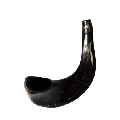 Ram Shofar — 28 to 33 cm