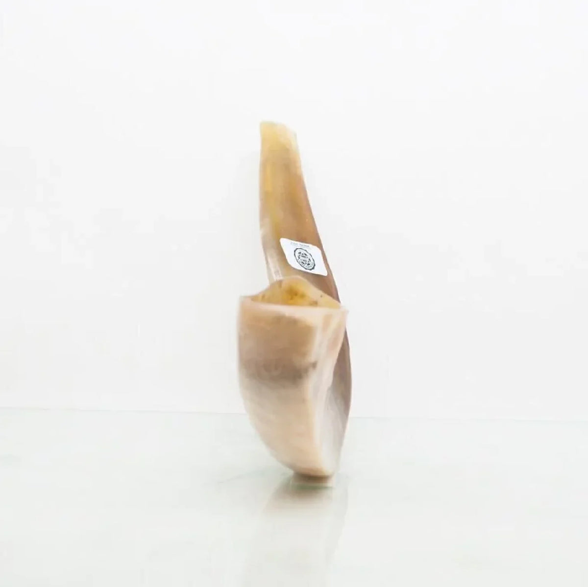 Ram Shofar — 28 to 33 cm