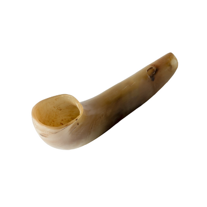 Shofar de Carnero Pequeño 7.5–10.6 in (19–27 cm)